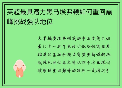 英超最具潜力黑马埃弗顿如何重回巅峰挑战强队地位